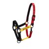 CAVEZZA EQUESTRO "FLAGGY" + LUNGHINA - immagine 2