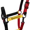 CAVEZZA EQUESTRO "FLAGGY" + LUNGHINA - immagine 3