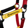 CAVEZZA EQUESTRO "FLAGGY" + LUNGHINA - immagine 5
