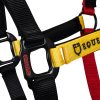 CAVEZZA EQUESTRO "FLAGGY" + LUNGHINA - immagine 6