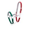 CAVEZZA EQUESTRO "FLAGGY" + LUNGHINA - immagine 8