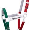 CAVEZZA EQUESTRO "FLAGGY" + LUNGHINA - immagine 9