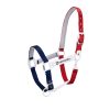 CAVEZZA EQUESTRO "FLAGGY" + LUNGHINA - immagine 15