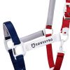 CAVEZZA EQUESTRO "FLAGGY" + LUNGHINA - immagine 16