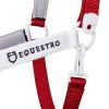 CAVEZZA EQUESTRO "FLAGGY" + LUNGHINA - immagine 19