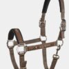 Capezza Equiline con Lunghina -CAPPUCCINO